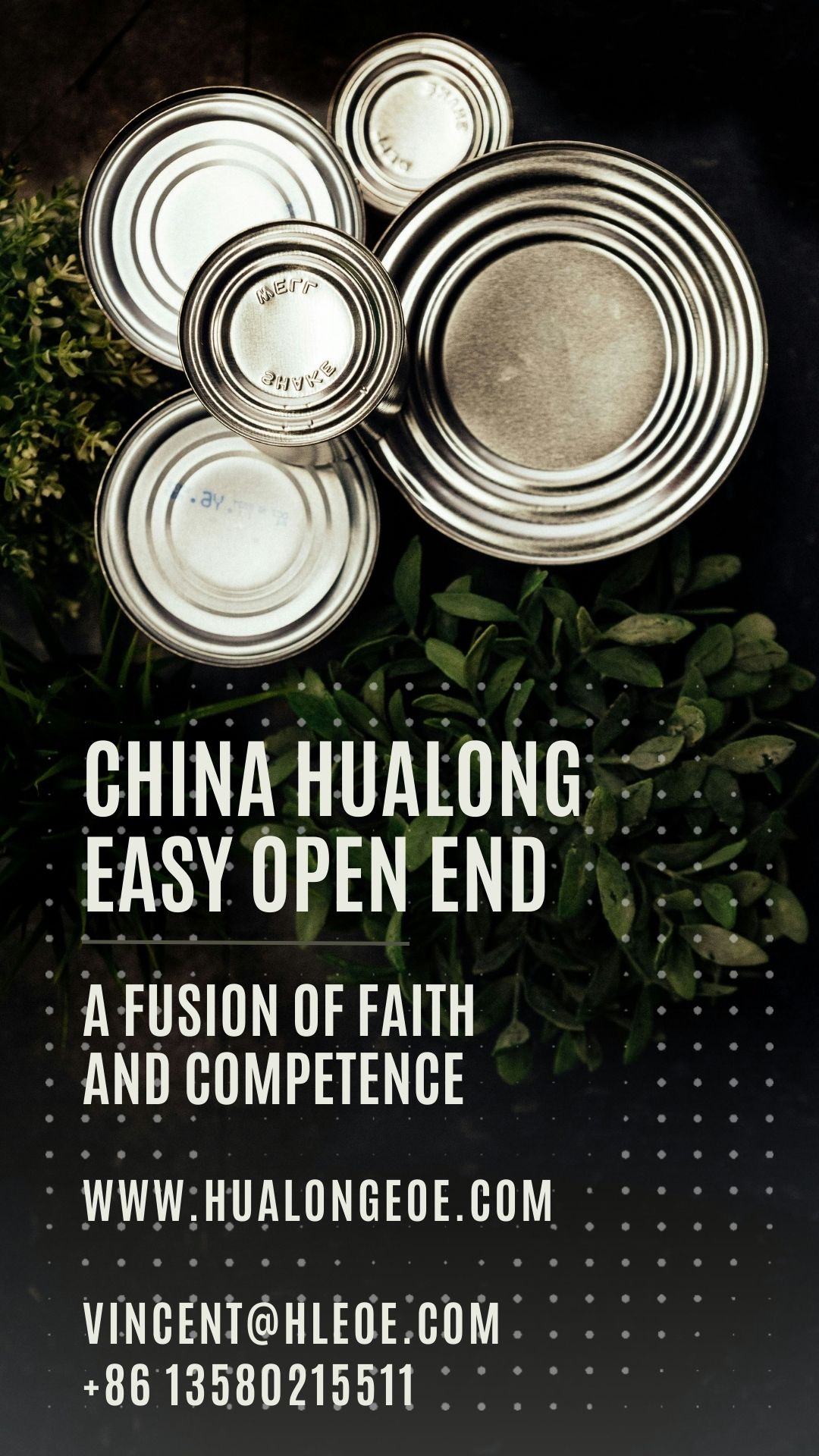 China Hualong EOE: спалучэнне веры і кампетэнтнасці